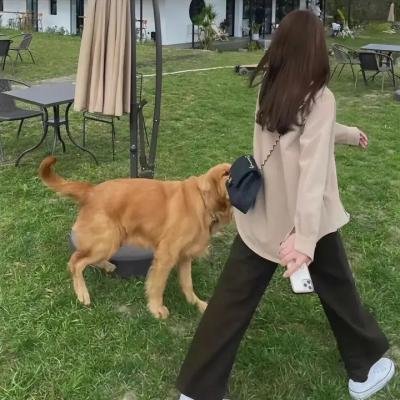 香岛美人窝