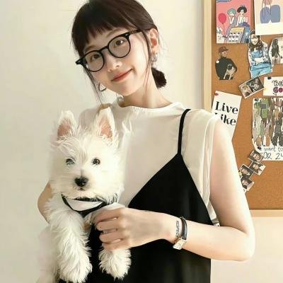绿衣骑士